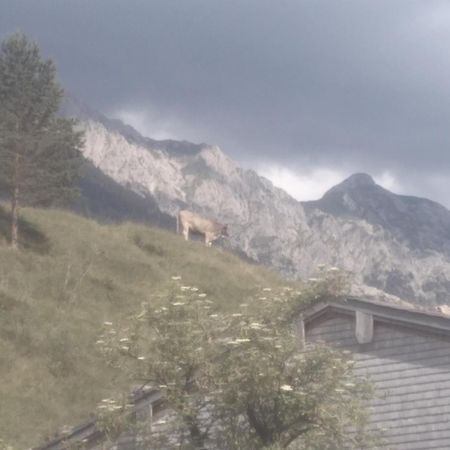 Holzhaus Besler Villa Bad Hindelang Exterior photo